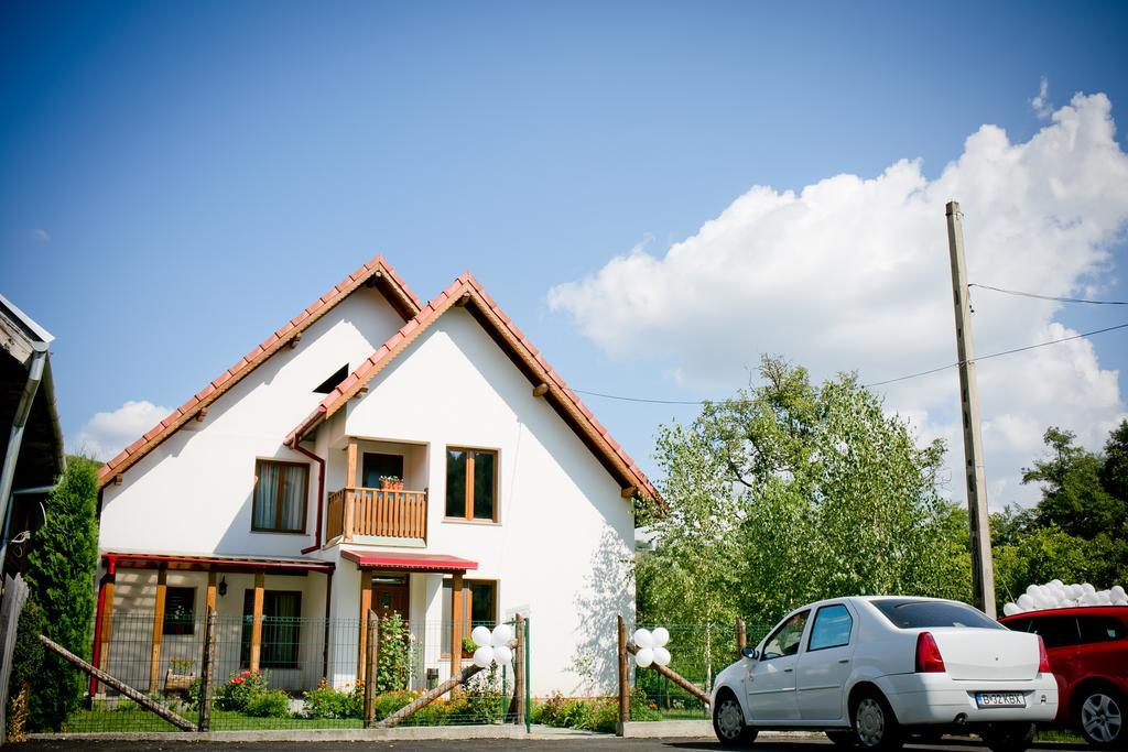 Conacul De Sub Munte Vila Novaci-Străini Exterior foto