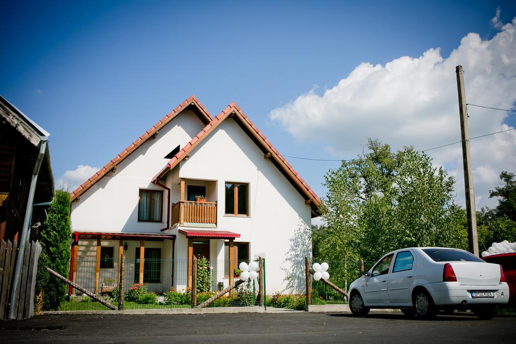 Conacul De Sub Munte Vila Novaci-Străini Exterior foto