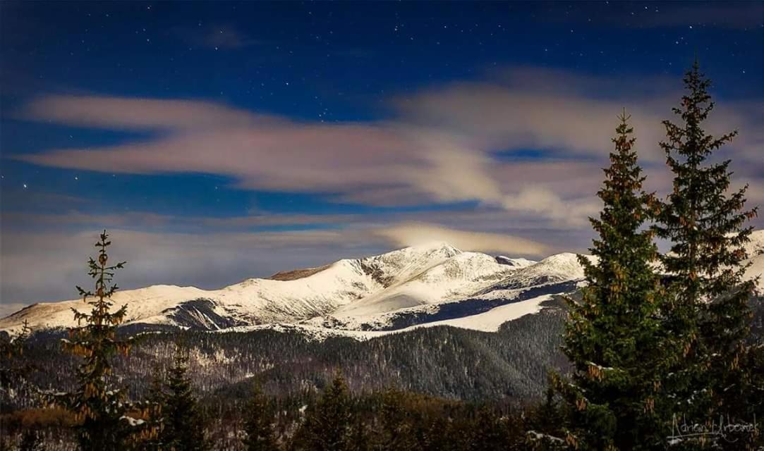 Conacul De Sub Munte Vila Novaci-Străini Exterior foto