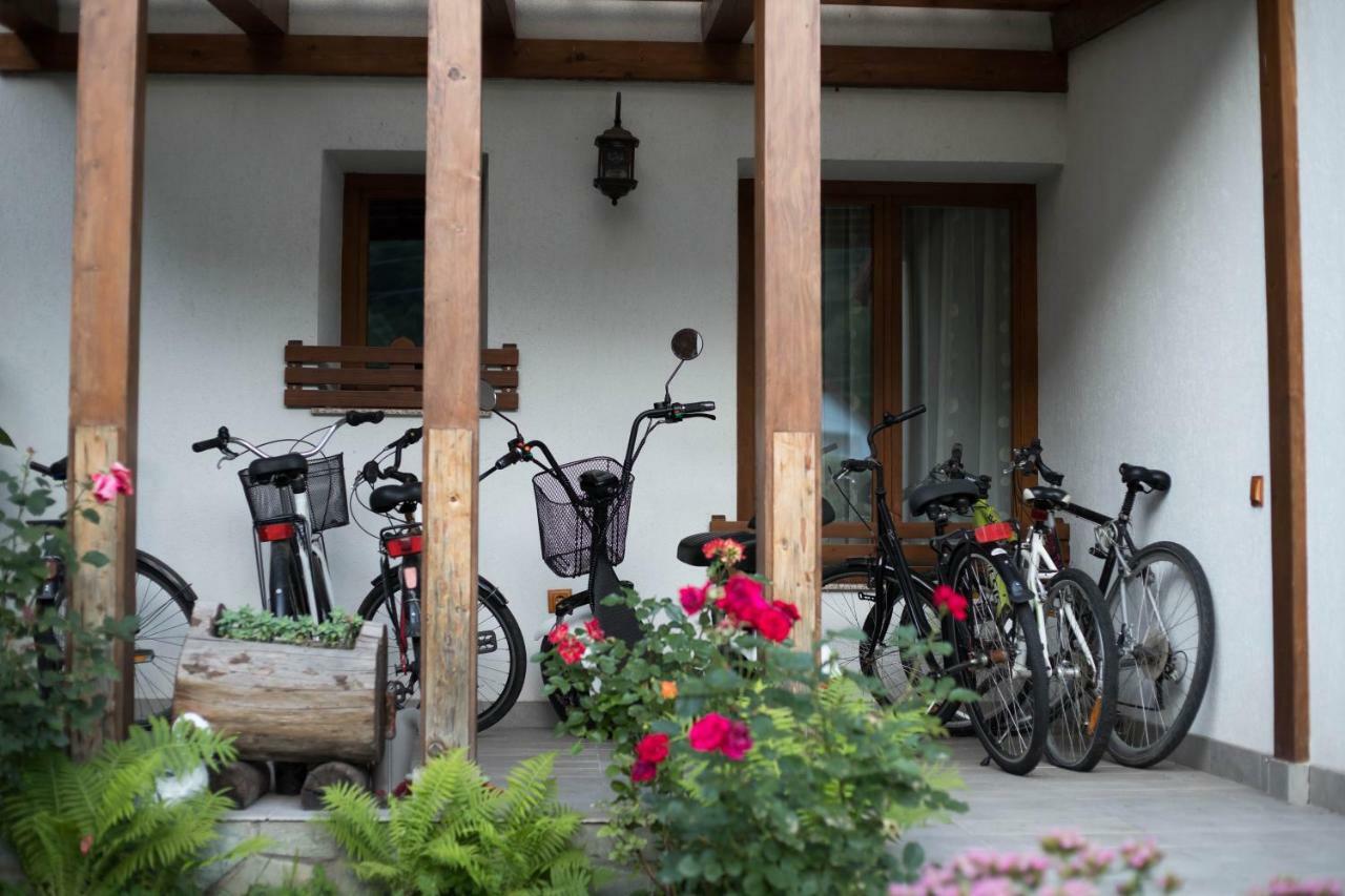 Conacul De Sub Munte Vila Novaci-Străini Exterior foto